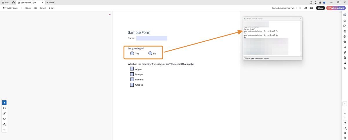 Sample form with focus in a text field; NVDA shows edit prompt.