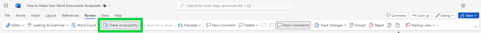 Check Accessibility button