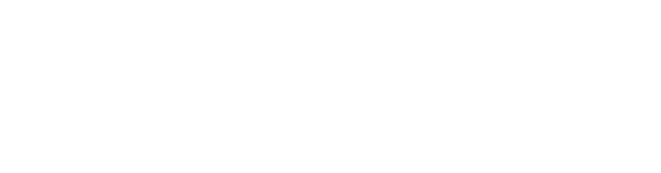 AccessAbility Officer